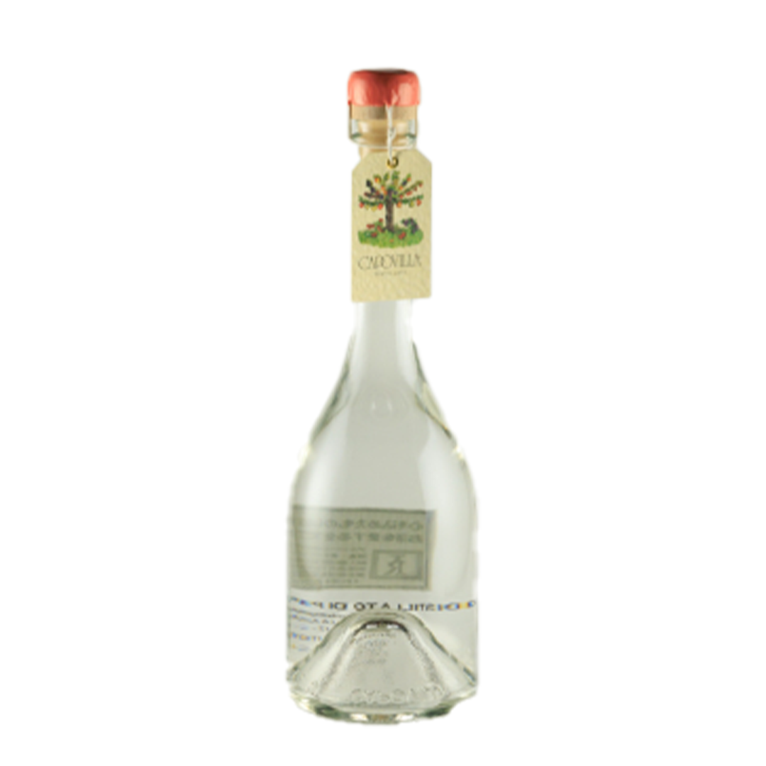 Capovilla カポヴィッラ フルーツブランデー 白桃 2016