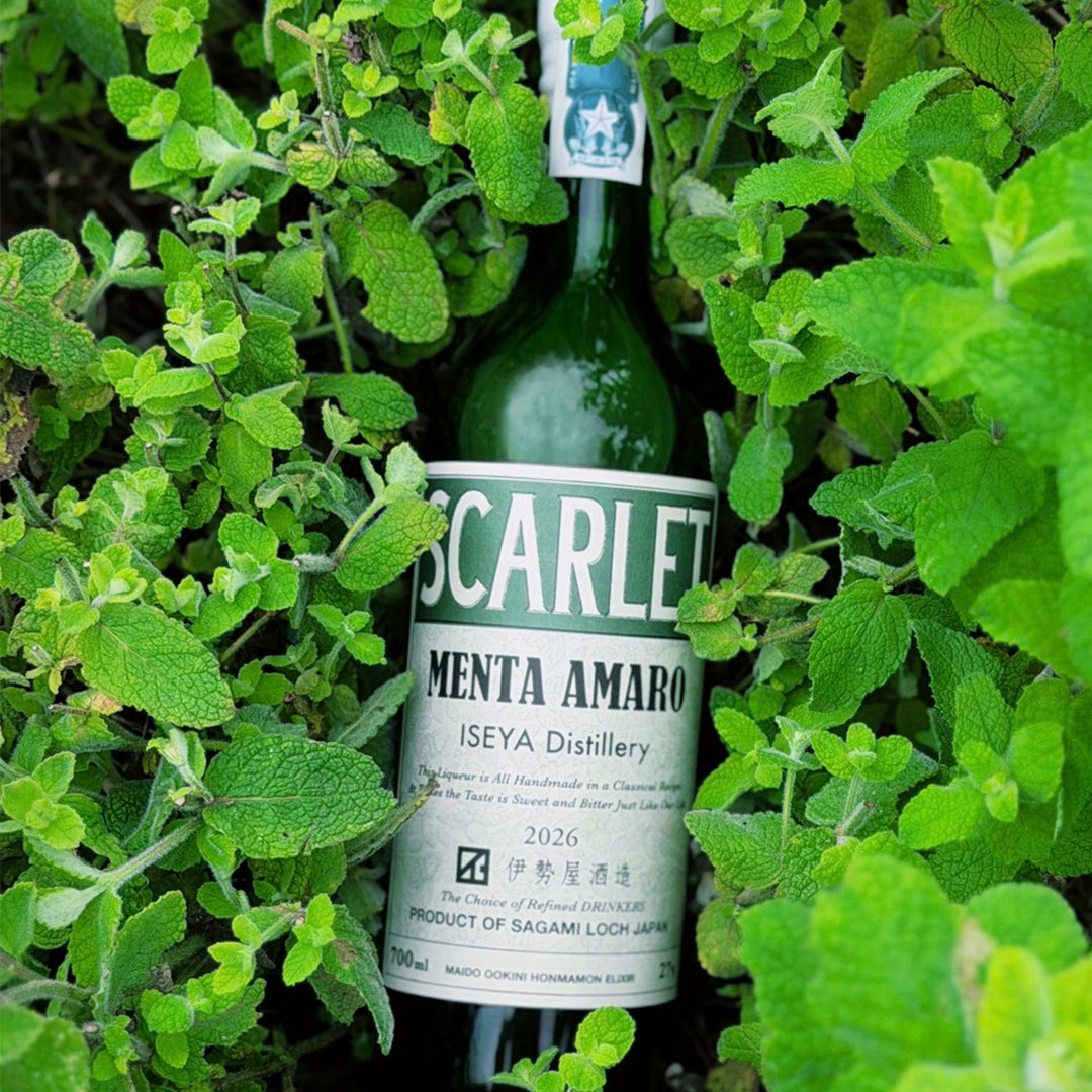 SCARLET MENTA AMARO スカーレット メンタ アマーロ 2026