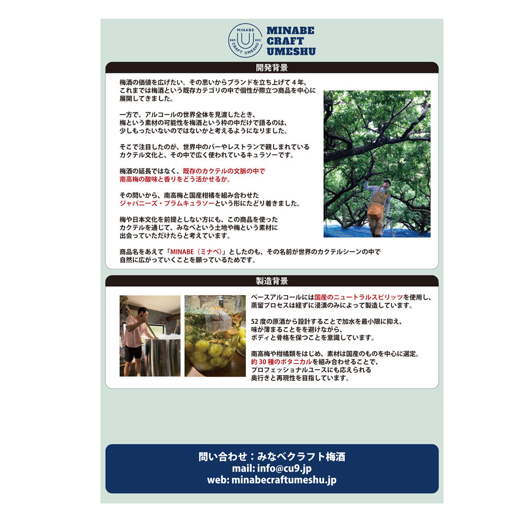 MINABE(ミナベ) Japanese Plum Curacao The First